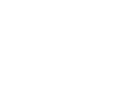 VIZULO